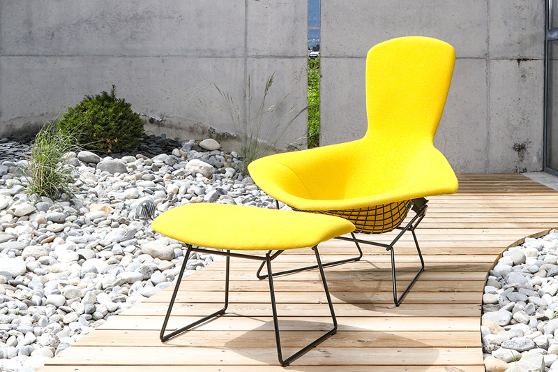 Fauteuil Bertoia Knoll