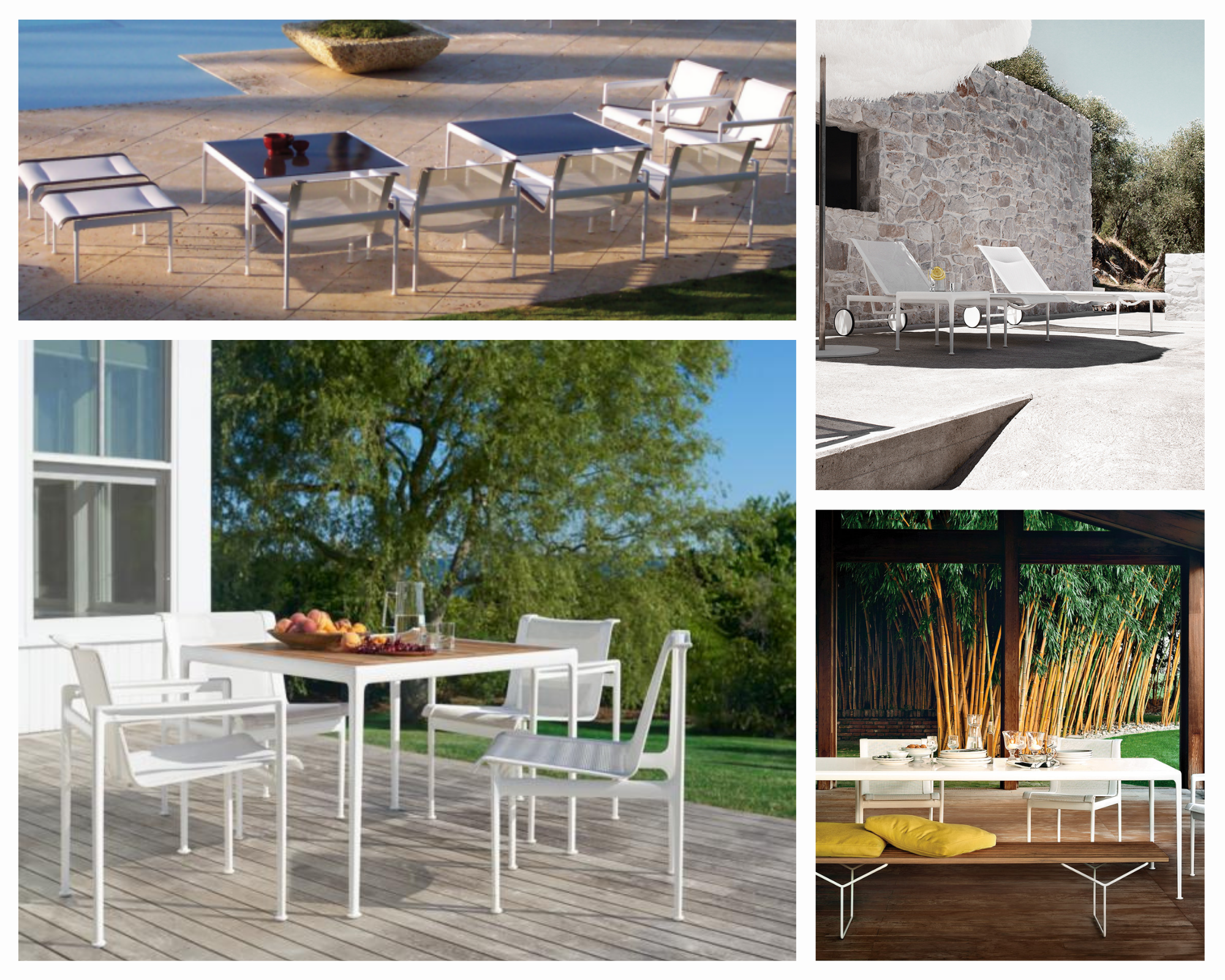 collection knoll schultz